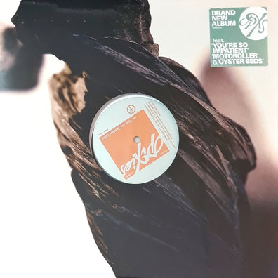 Pixies - The Night The Zombies Came